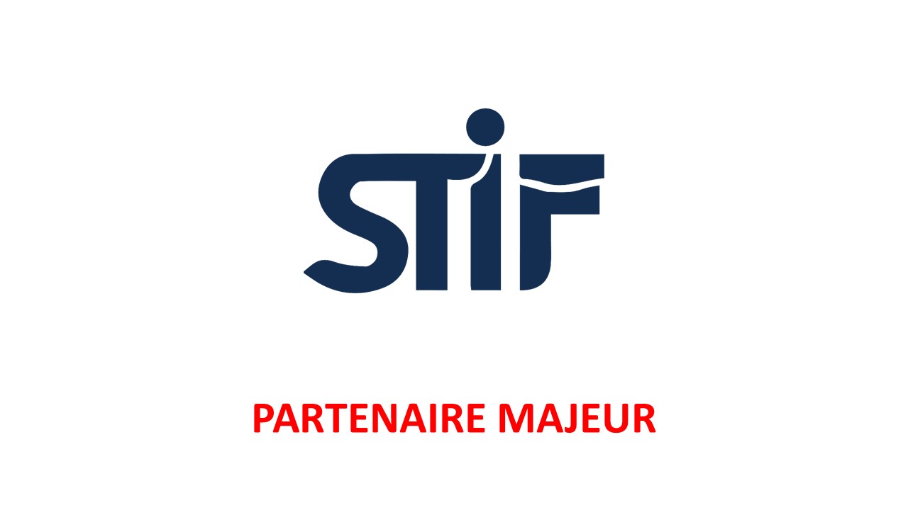 04_STIF.jpg