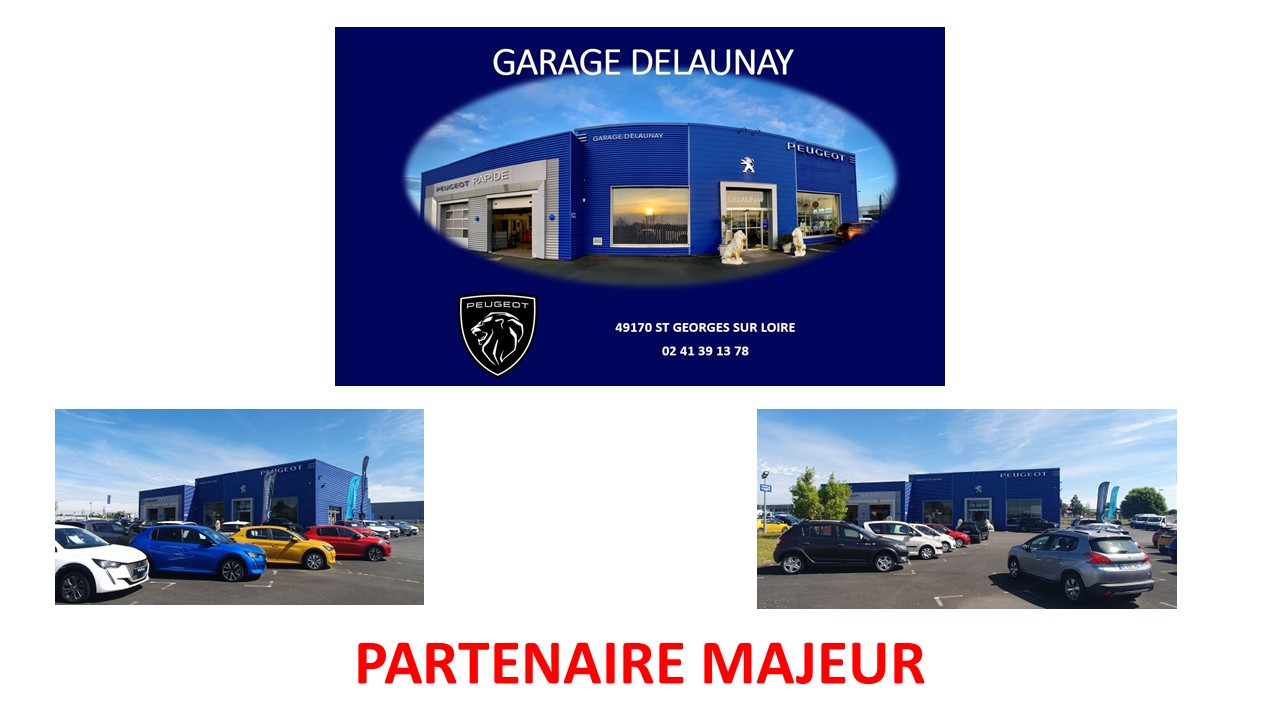 08_Garage_Delaunay.jpg